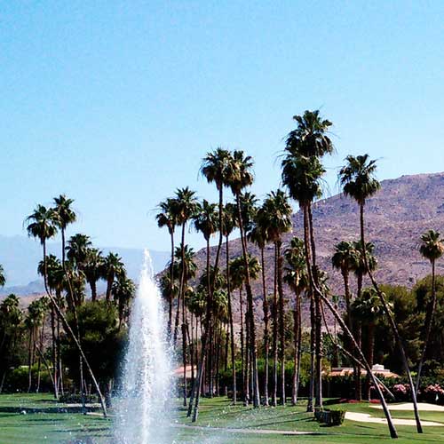 Palm Desert